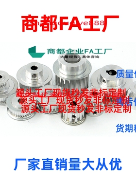 同步轮 PTPA/PTPK/PTPM/PTPP20~60P8M150/P8M250-A/B