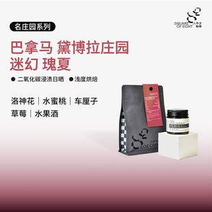 巴拿马黛博拉迷幻瑰夏geisha 二氧化碳浸渍日晒手冲咖啡豆 八平方