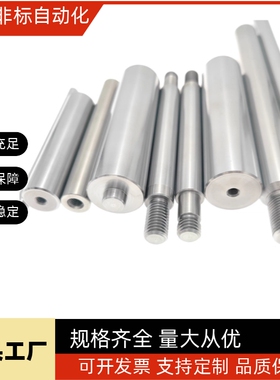 SGF07导向轴SAD02-D8-L120-D10 12 16 D20 25 d30/01/03/06/Sck22