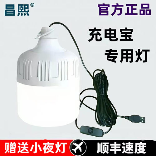 5v USB插口led应急灯泡摆地摊 户外照明灯泡超亮LED节能灯停电宝
