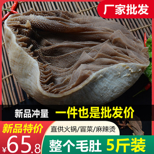 新鲜整个毛肚底板大叶片千层肚5斤麻辣烫火锅食材牛百叶商用包邮