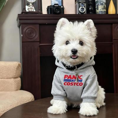 宠物连帽卫衣韩版秋冬天加绒加厚西高地雪纳瑞比熊小型犬狗狗衣服