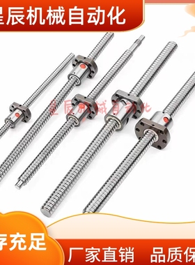 BSWE0802 BSWE1002 滚珠丝杠 轴径8/10 导程2