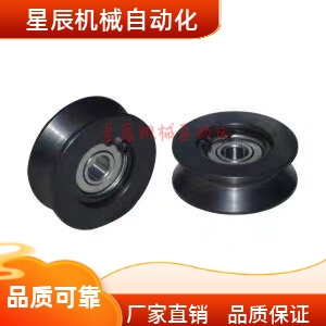 QBR02-D20/D30/D40/D50/D60/D100 替代导向滚轮