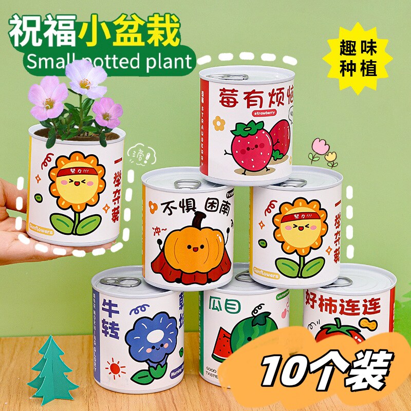 儿童罐头植物桌面迷你绿植好养创意盲盒小盆栽种植六一儿童节礼物