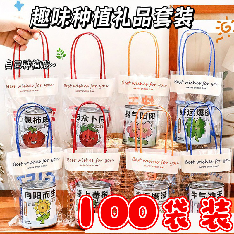 袋装种植盲盒盆栽创意小学生奖品幼儿园生日礼品六一儿童节小礼物