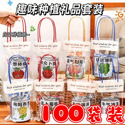 袋装种植盲盒盆栽创意小学生奖品幼儿园生日礼品六一儿童节小礼物