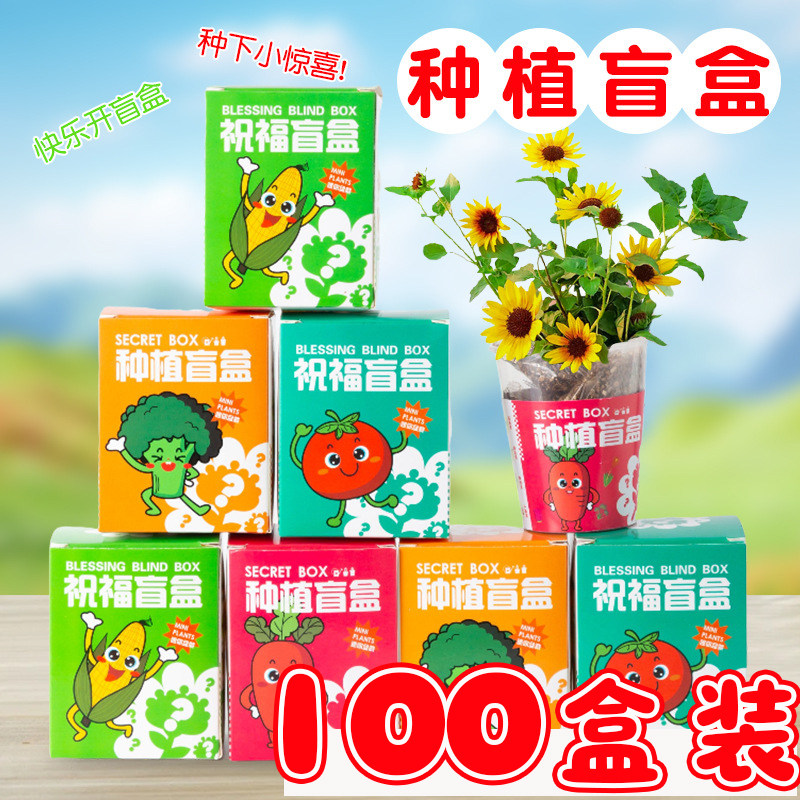 开学礼物创意种植趣味盲盒儿童小学生奖励幼儿园生日分享小礼品