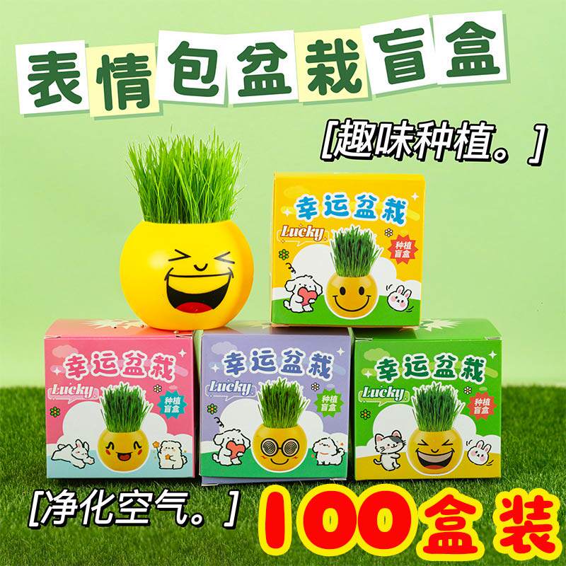 儿童节小礼物创意种植趣味表情盲盒学生奖励幼儿园生日分享小礼品