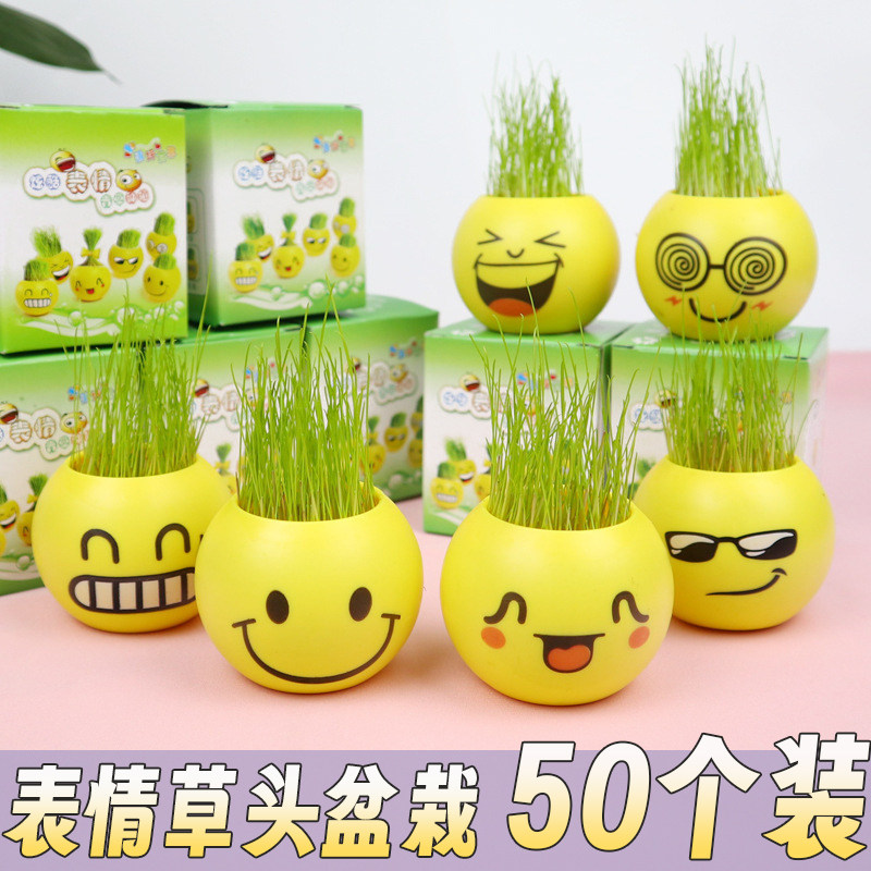 创意草头娃娃桌面迷你植物种植表情盆栽学生礼品六一儿童节礼物