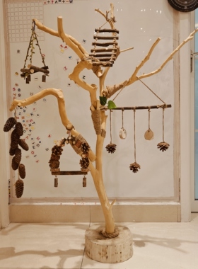 树枝树杆鹦鹉站架树干鸟站架原木站杆树杈秋千鸟笼实装饰木灯架