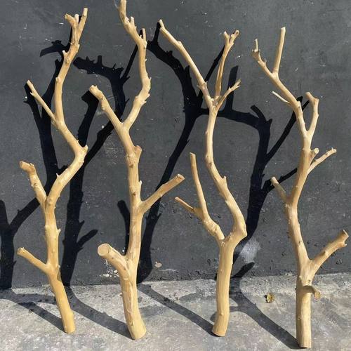 干树枝原木杈艺术干枝枯枝枯木树干鸟架造型壁挂衣架吊顶树枝装饰