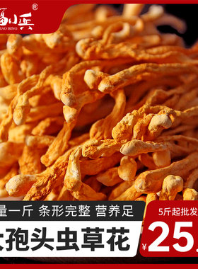 福小兵虫草花大孢子头广东煲汤