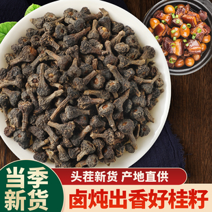 桂籽 500g 新货无硫桂子肉桂子卤肉炖肉香料商用火锅大料另售桂丁