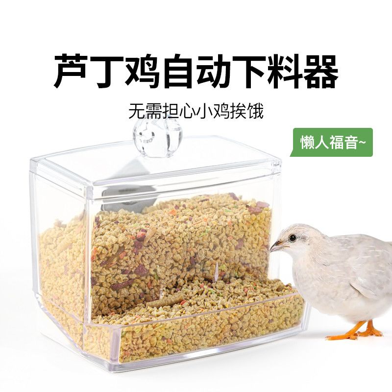 芦丁鸡喂食器亚克力粮食盒食盆水槽水壶自动饮水器下饲料盒喂水器
