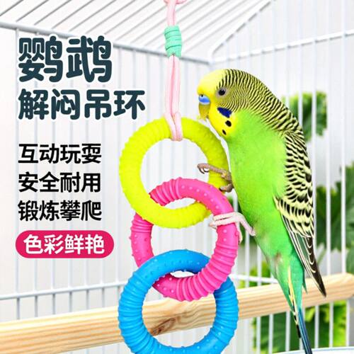 鹦鹉吊环玩具秋千攀爬玩具鸟笼装饰时尚彩色玩耍造景解闷鹦鹉吊环
