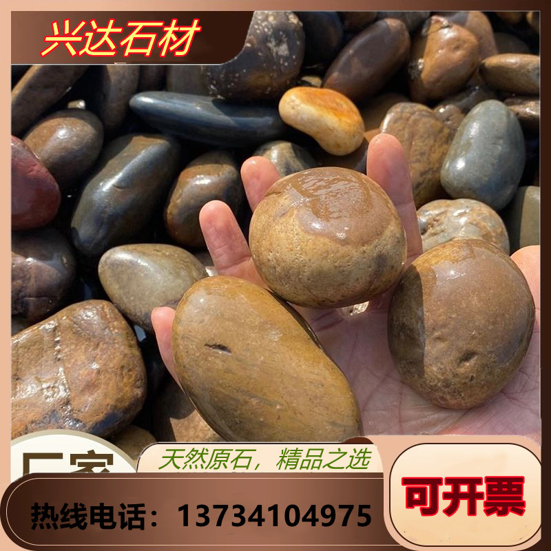 天然鹅卵石铺路小石子大鹅软石彩色鹅卵石庭院鱼池园林石按吨销售