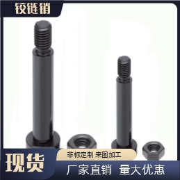 CLBDGH CLBDG CLBGN CLBGNU PCLBGN SCLBDG铰链销带肩螺帽固定型