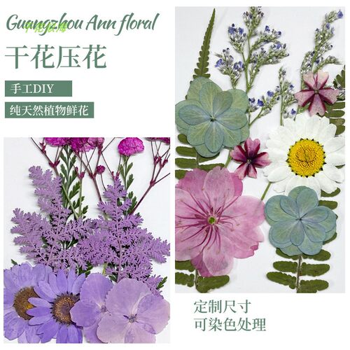 树叶包亲子手工干花材料包压花