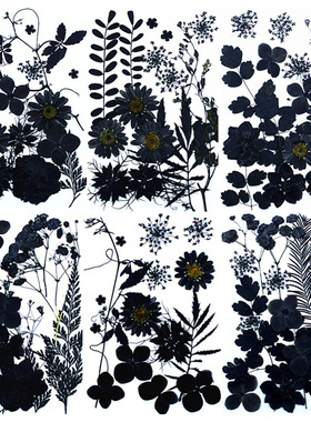 新品全黑水墨暗黑材料包Pressed Flowe植物标本干花压花贴画相框