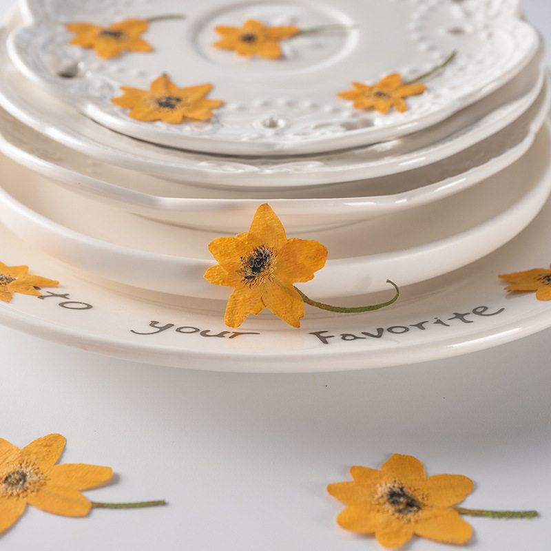 报喜鸟 饰品配件香薰蜡烛配材压花干叶押花干花diy贺卡书签滴胶