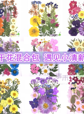 花押书签树叶diy贴脸写真植物