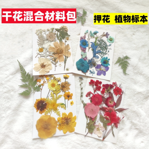 儿童书签植物标化妆造型贴脸妆写