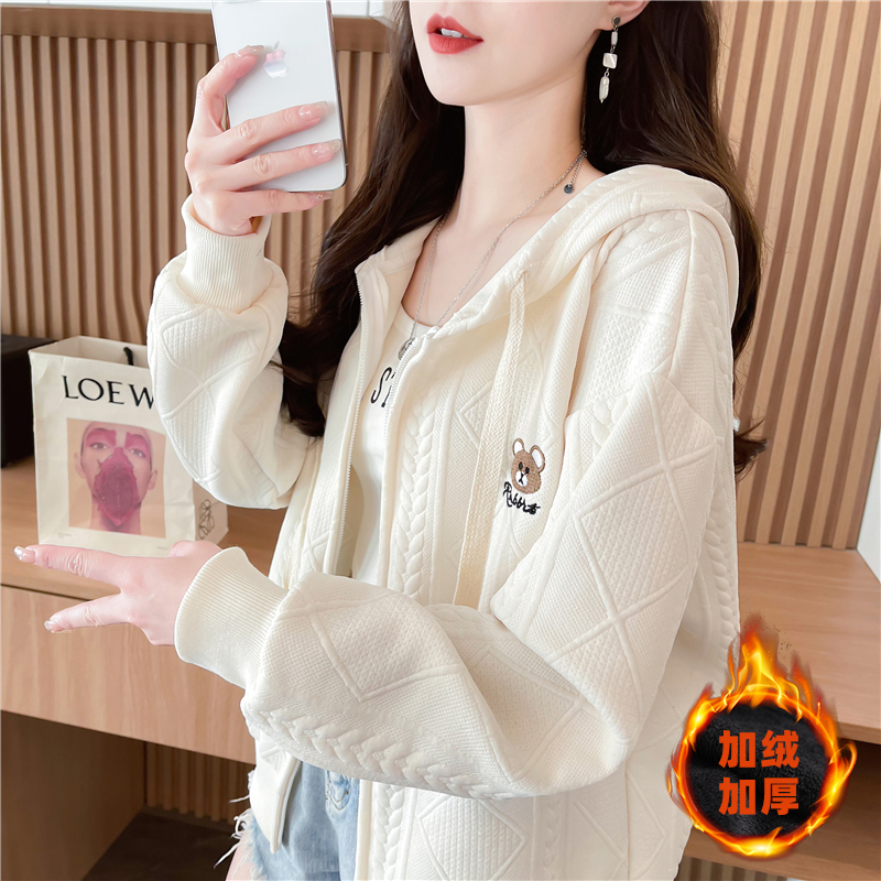 秋冬季新款小个子百搭刺绣外套女
