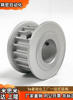 HTPA25S5M100-A-P14 P15 P16 P17 P18 P19 P20 P22 P24 P25同步轮