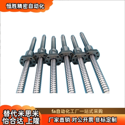 替代滚珠丝杆BSWE10021204