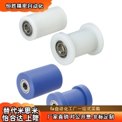 RORAAP25/30/35-20/25/30/40/50导向滚轮 平型 双 法兰型 锥型