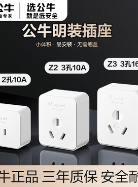 公牛小型明装面板插座扁孔二脚三脚单相简易墙壁10A插头插座16安
