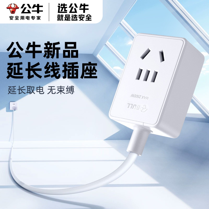 公牛两脚转三脚插头电源转换器