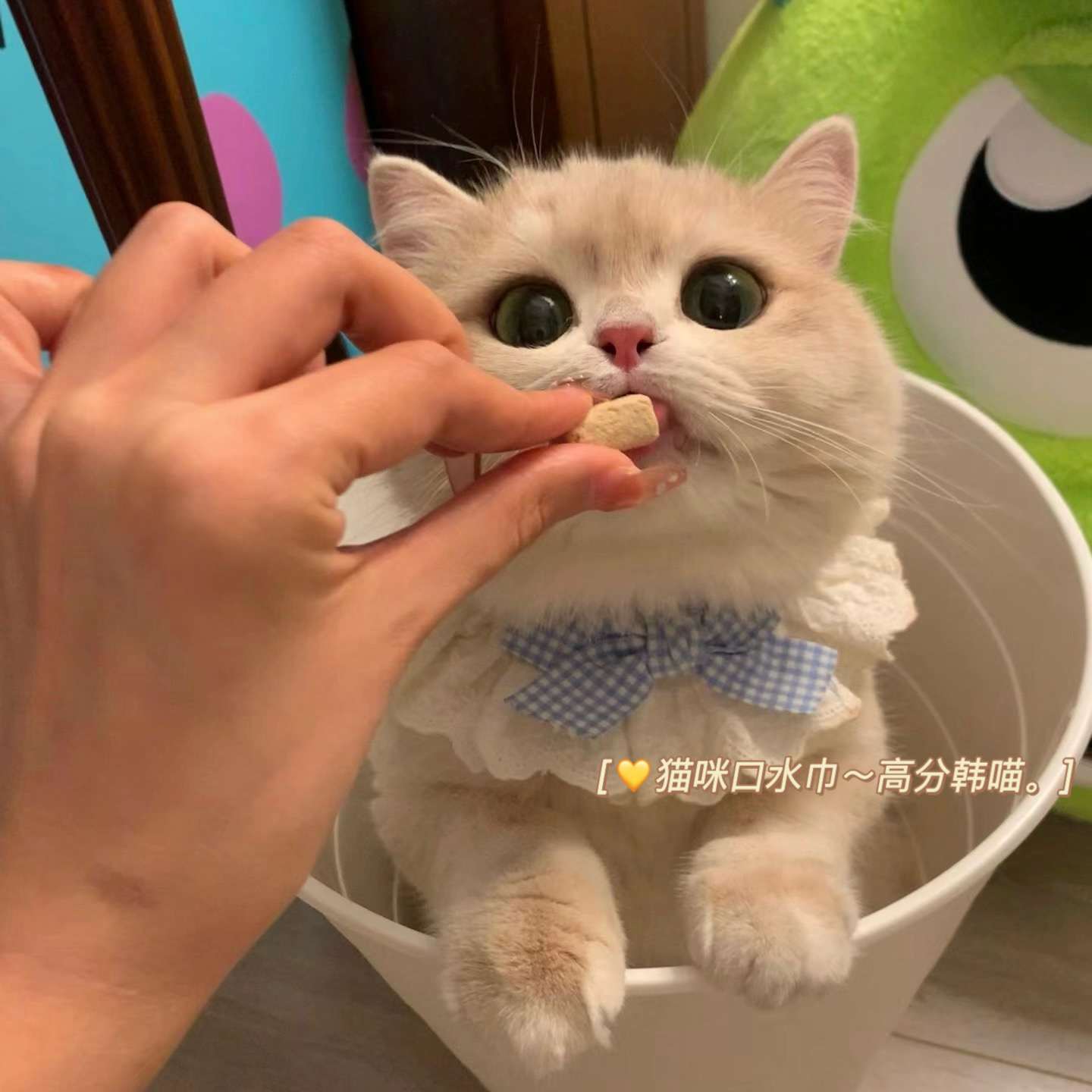 韩系甜喵！猫咪口水巾棉质可爱风