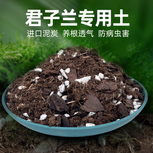 吴掌柜园艺营养土君子兰专用