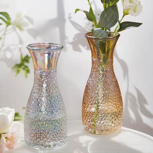 透明玻璃花瓶摆件客厅插花水养鲜花轻奢高级感北欧ins风花器