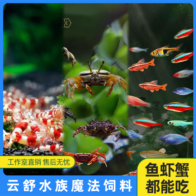 小鱼灯科鱼促繁殖饲料