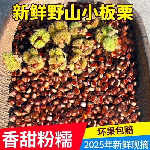 2025新货新鲜板栗子高山农家老品种鲜板栗生板栗正宗小板栗