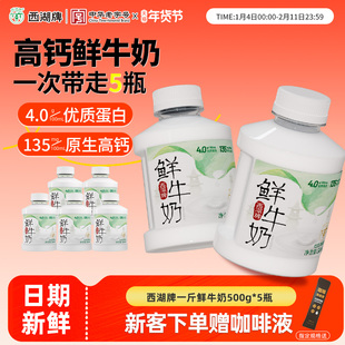 西湖牌低温鲜牛奶4.0g蛋白质巴氏杀菌儿童营养早餐奶500g*5旗舰店