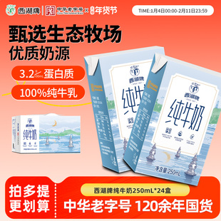 西湖牌纯牛奶常温生牛乳儿童成人蛋白营养早餐奶250mL*24盒整箱