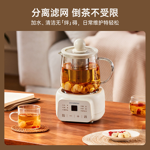 HYUNDAI韩国养生壶办公室宿舍小型玻璃养生杯家用保温全自动煮茶