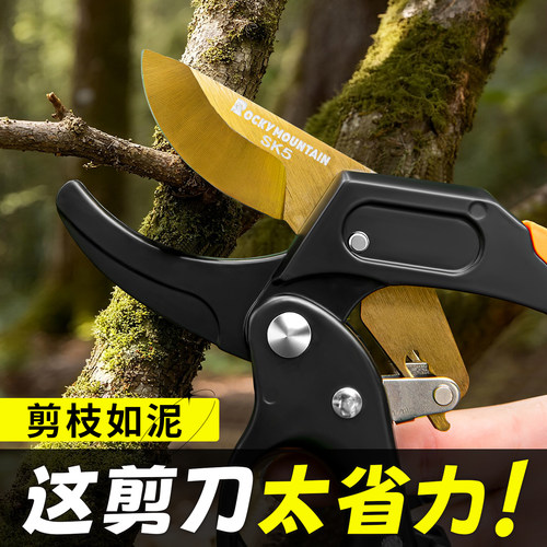 锐农园艺剪刀修枝剪树枝花卉专用花剪园林果树粗枝剪省力剪刀工具