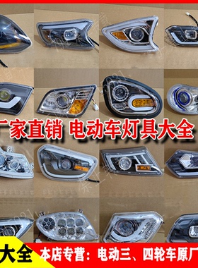 金彭大江海宝岛盛昊金迪电动三轮车前大灯总成老年代步车灯大全