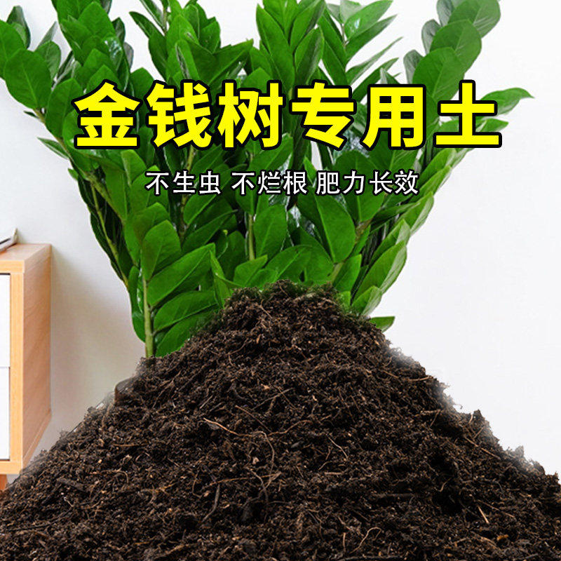 金钱树专用土金钱树营养土肥料家庭种花盆栽土养花有机土壤种植土