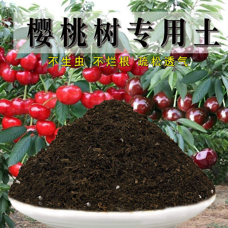 车厘子专用土樱桃树专用土种植土壤通用家用盆栽盆景养花有机肥料