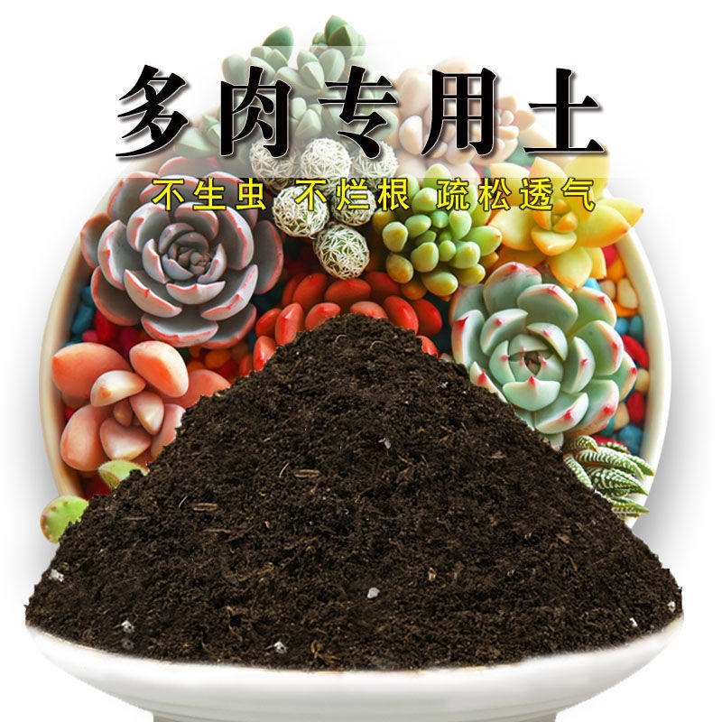 多肉专用土多肉土盆栽植物营养土壤肉肉种植土有机肥料通用花土