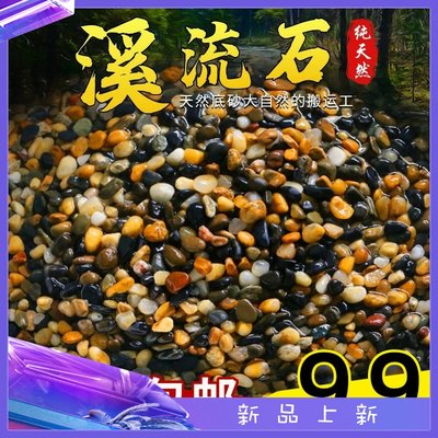 鱼缸小石子铺底造景沙石原生缸溪流石底砂不浑水水族箱溪流沙底沙