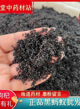 黑蚂蚁中药材支持花呗信用卡蚂蚁干养生泡酒