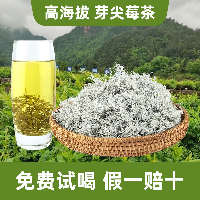 正宗张家界芽尖莓茶永顺土家嫩芽尖霉茶