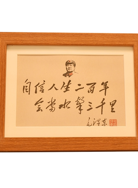 韶之红毛主席诗词语录书法字贴